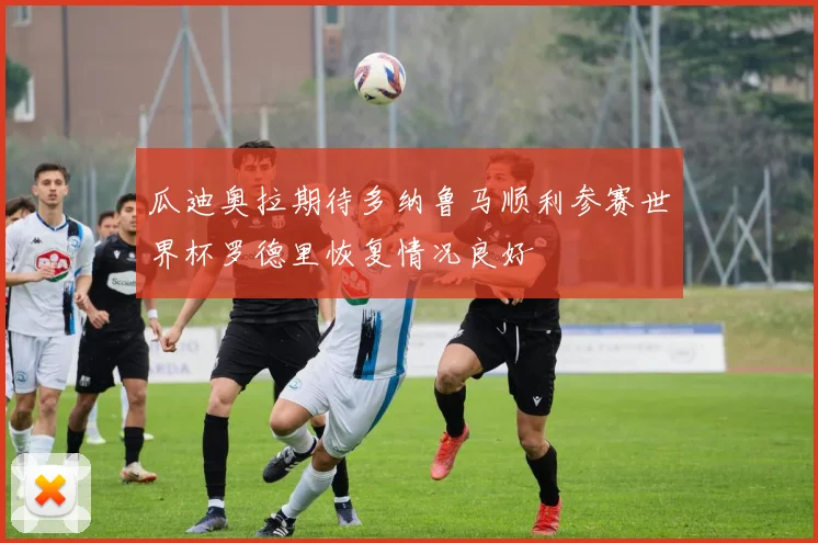 瓜迪奥拉期待多纳鲁马顺利参赛世界杯罗德里恢复情况良好
