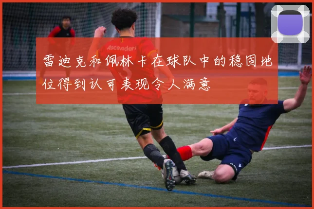 雷迪克和佩林卡在球队中的稳固地位得到认可表现令人满意