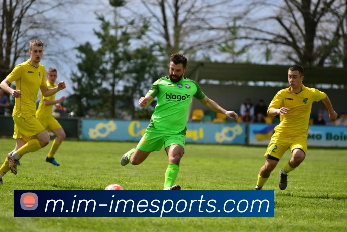 IM电竞平台生态图